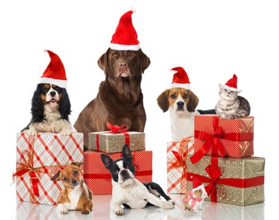 Weihnachts Hunde mit Geschenken
